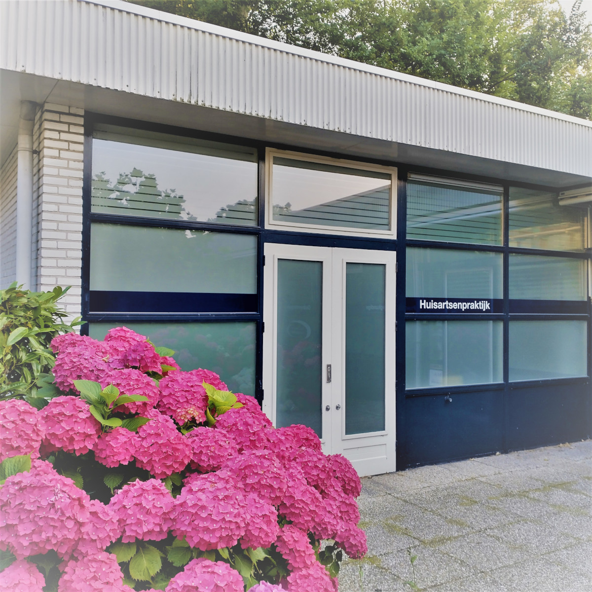 praktijkgebouw en hortensias